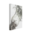 Fennel bulbs with exposed roots and feathery grey-green foliage arranged diagonally against an off-white background.