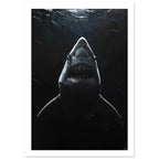 shark art print for the home office, soft painterly artwork on matte paper