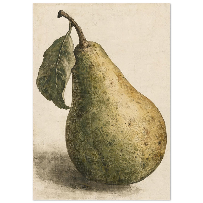 Pear Vintage Botanical Art Print