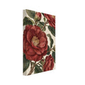 Red camellia blooms and buds on branching stems with dark green leaves against a textured cream background.