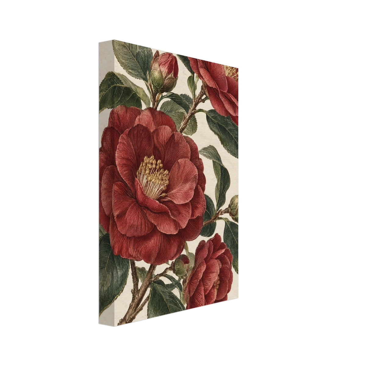 Red camellia blooms and buds on branching stems with dark green leaves against a textured cream background.