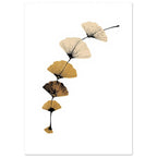 Six fan-shaped ginkgo leaves in cream, ochre and brown on a curved black stem against a white background.