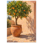 Orange tree in a terracotta pot on sunlit courtyard paving, with leafy shadows cast across a peach wall.