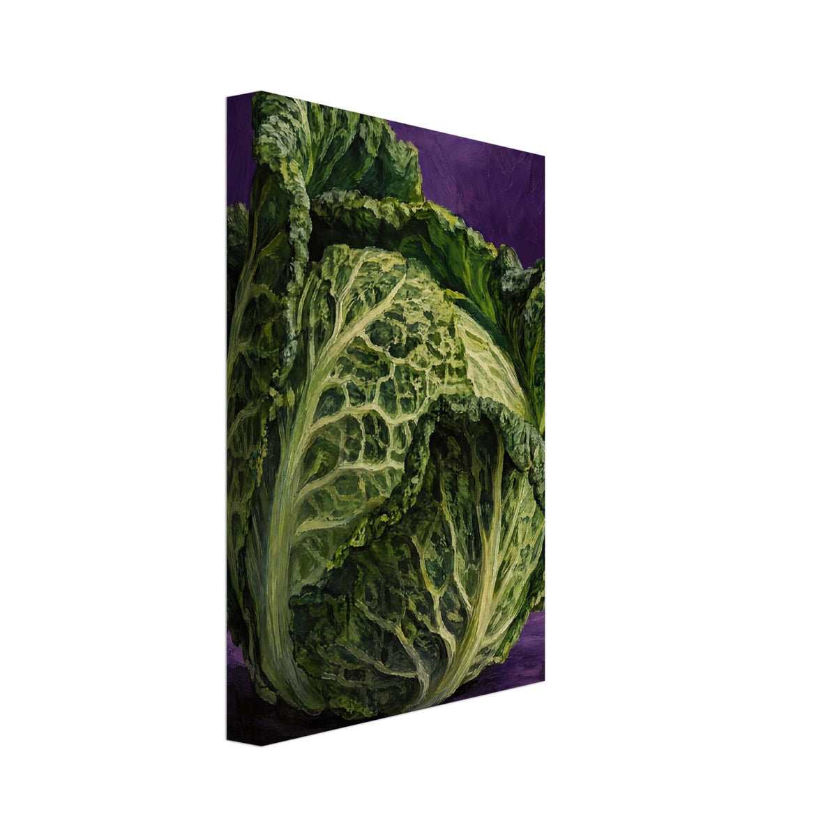 Green Cabbage Still Life Art Print – Canvas