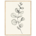 Eucalyptus stem with rounded, overlapping leaves drawn in fine black and grey lines on a plain cream background.