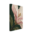 Magnolia blossom with cream and pink petals, olive-green leaves and a brown branch against a dark green painted background.