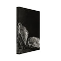 Oyster Light, two open oyster shells on dark slate with pale interiors and sharply lit ridges beneath a broad area of shadow.