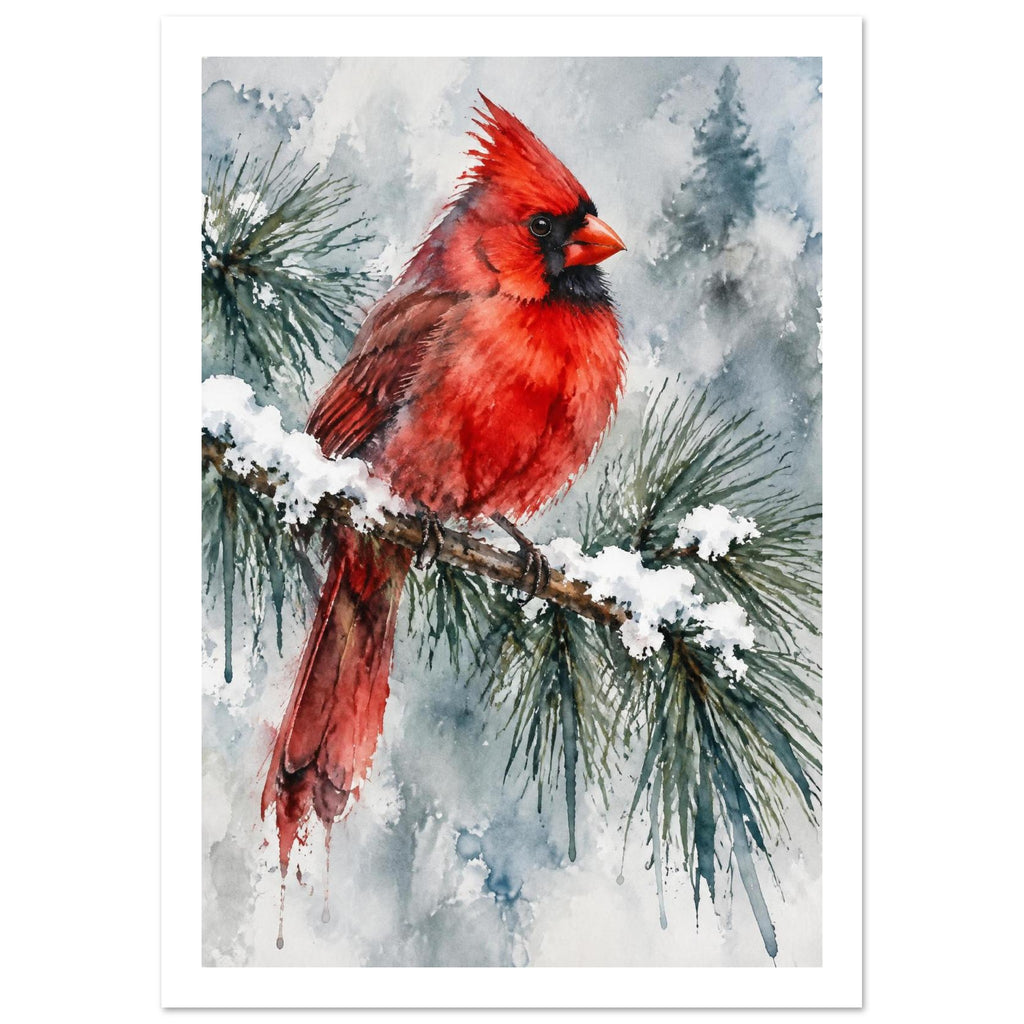 Red cardinal perched on a snowy pine branch, with green needles and soft grey-blue evergreen silhouettes behind.