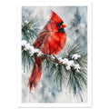 Red cardinal perched on a snowy pine branch, with green needles and soft grey-blue evergreen silhouettes behind.