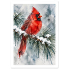 Red cardinal perched on a snowy pine branch, with green needles and soft grey-blue evergreen silhouettes behind.