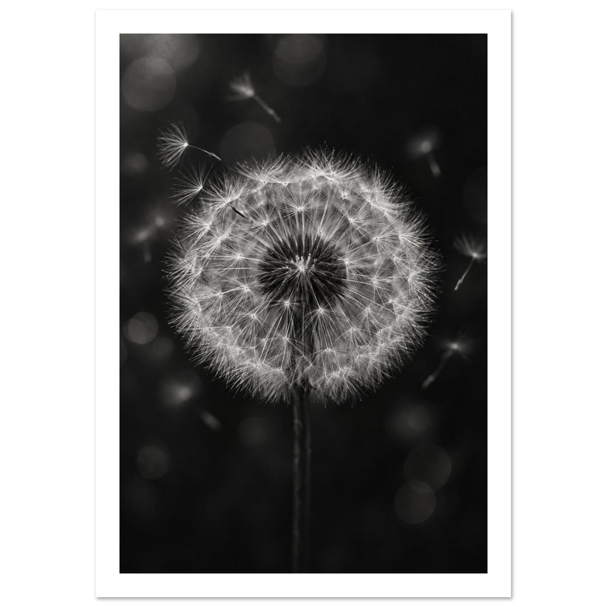 Original Abstract Composition in Soft Light III Art Print – White Border