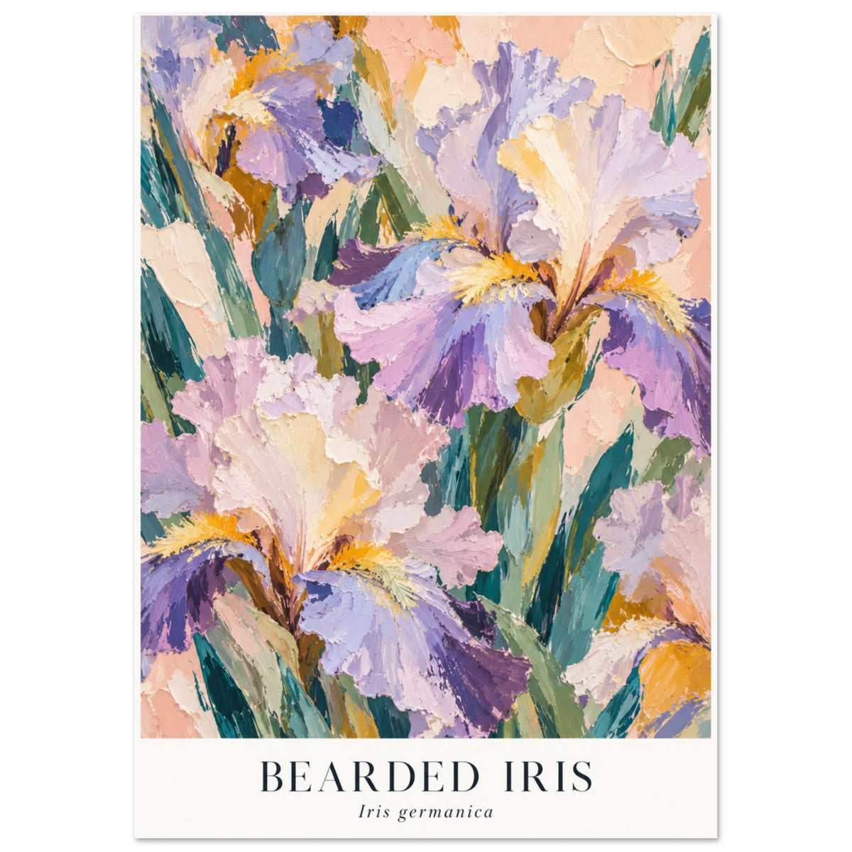 Bearded Iris Pastel Botanical Art Print