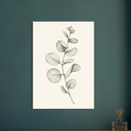 Eucalyptus stem with rounded leaves, fine veins and shaded folds drawn in black and grey on a cream background.