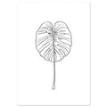 Monstera leaf outlined in fine black lines with a long slender stem, centred on a plain white background.