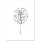 Monstera leaf outlined in fine black lines with a long slender stem, centred on a plain white background.