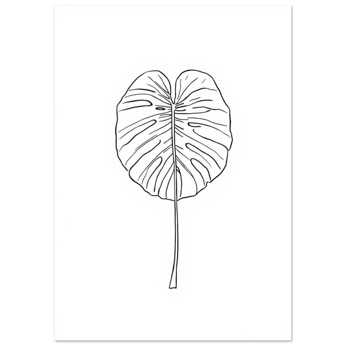 Monstera leaf outlined in fine black lines with a long slender stem, centred on a plain white background.
