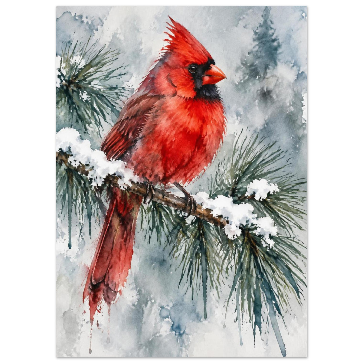 Watercolour red cardinal bird perched on a snow-covered pine branch
