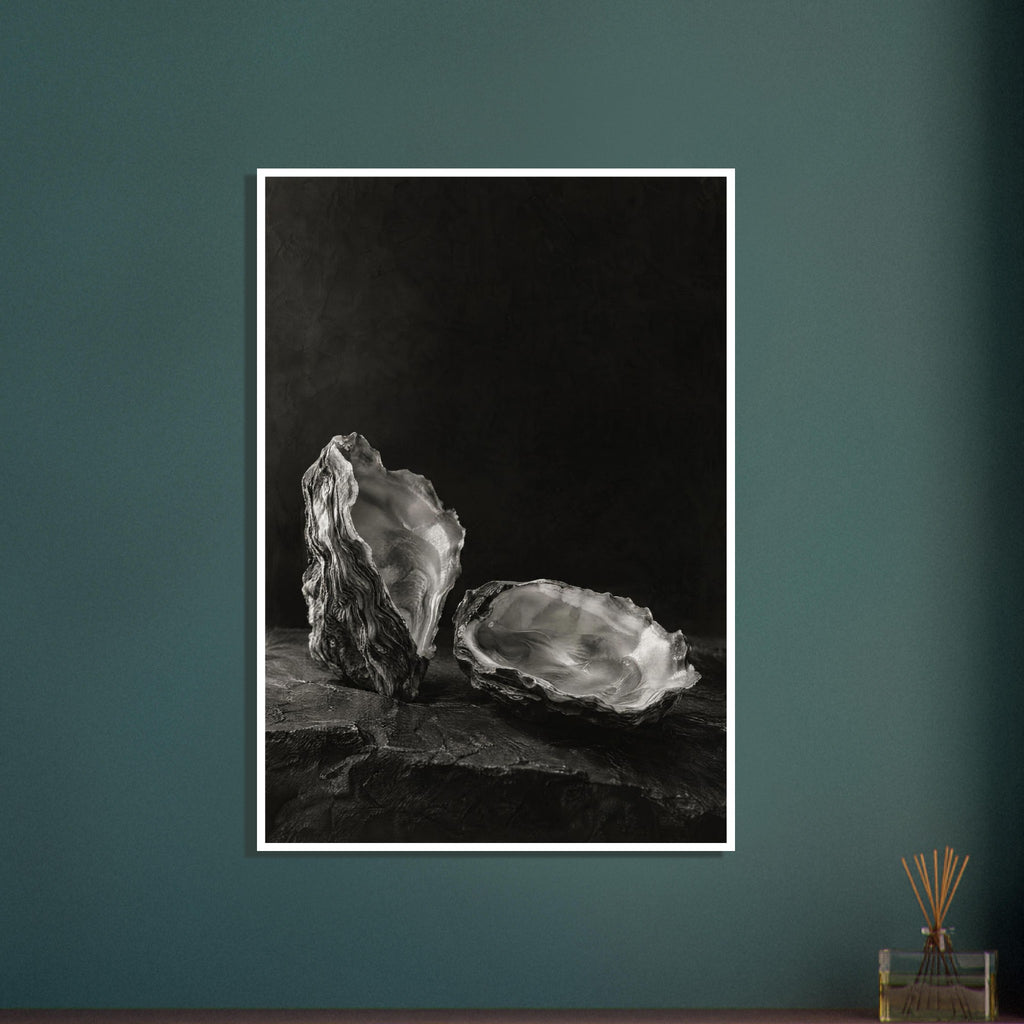 Oyster Light, two open oyster shells on dark slate with pale interiors and sharply lit ridges beneath a broad area of shadow.