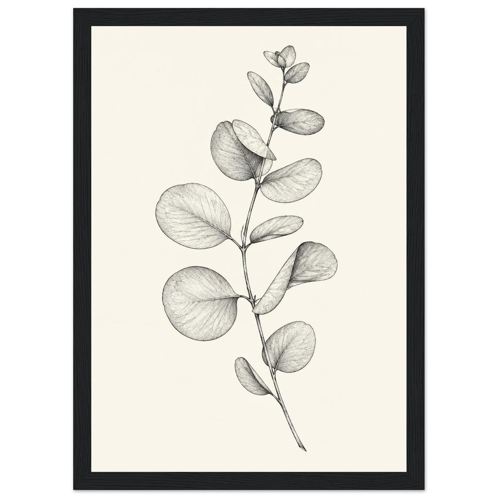 Eucalyptus stem with rounded, overlapping leaves drawn in fine black and grey lines on a plain cream background.