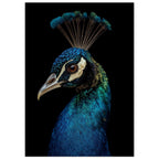 bird art print for the living room, soft painterly artwork on matte paper