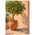 Orange tree in a terracotta pot on sunlit courtyard paving, with leafy shadows cast across a peach wall.