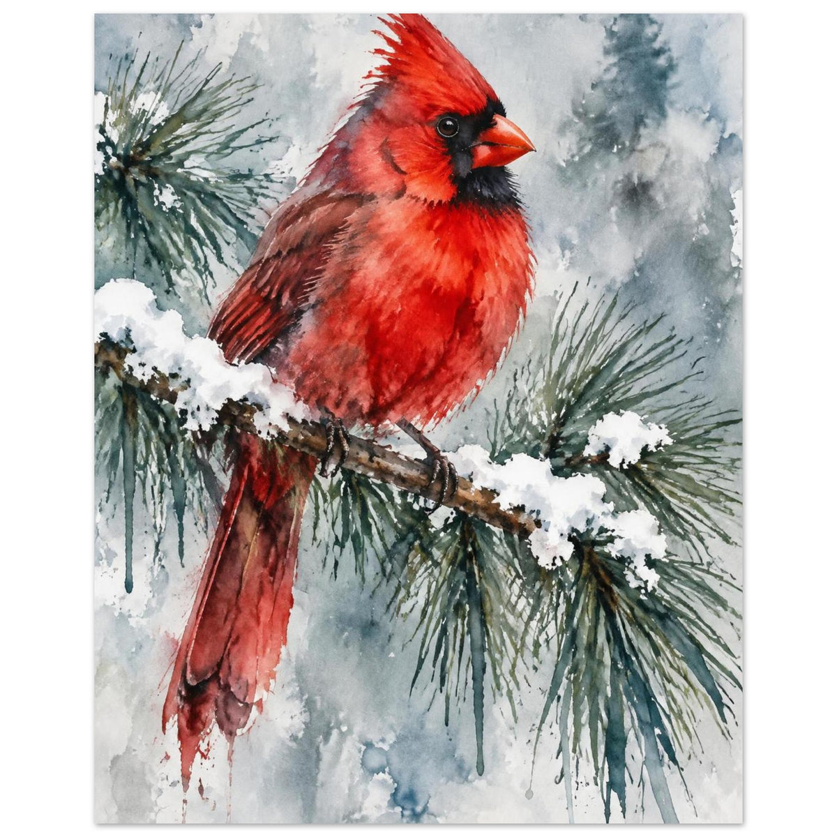 Watercolour red cardinal bird perched on a snow-covered pine branch