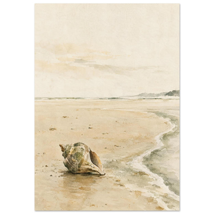 Seashells
