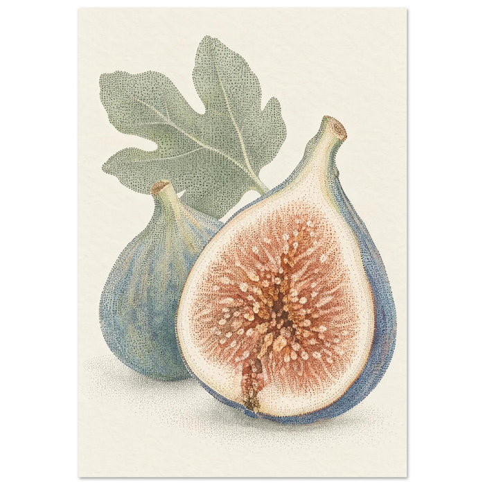 Figs