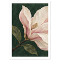 Magnolia blossom with cream and pink petals, olive-green leaves and a brown branch against a dark green painted background.