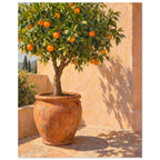 Orange tree in a terracotta pot on sunlit courtyard paving, with leafy shadows cast across a peach wall.