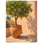 Orange tree in a terracotta pot on sunlit courtyard paving, with leafy shadows cast across a peach wall.