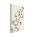 Nasturtium stems with rounded pale green leaves and delicate flowers, drawn in fine brown lines on a cream background.