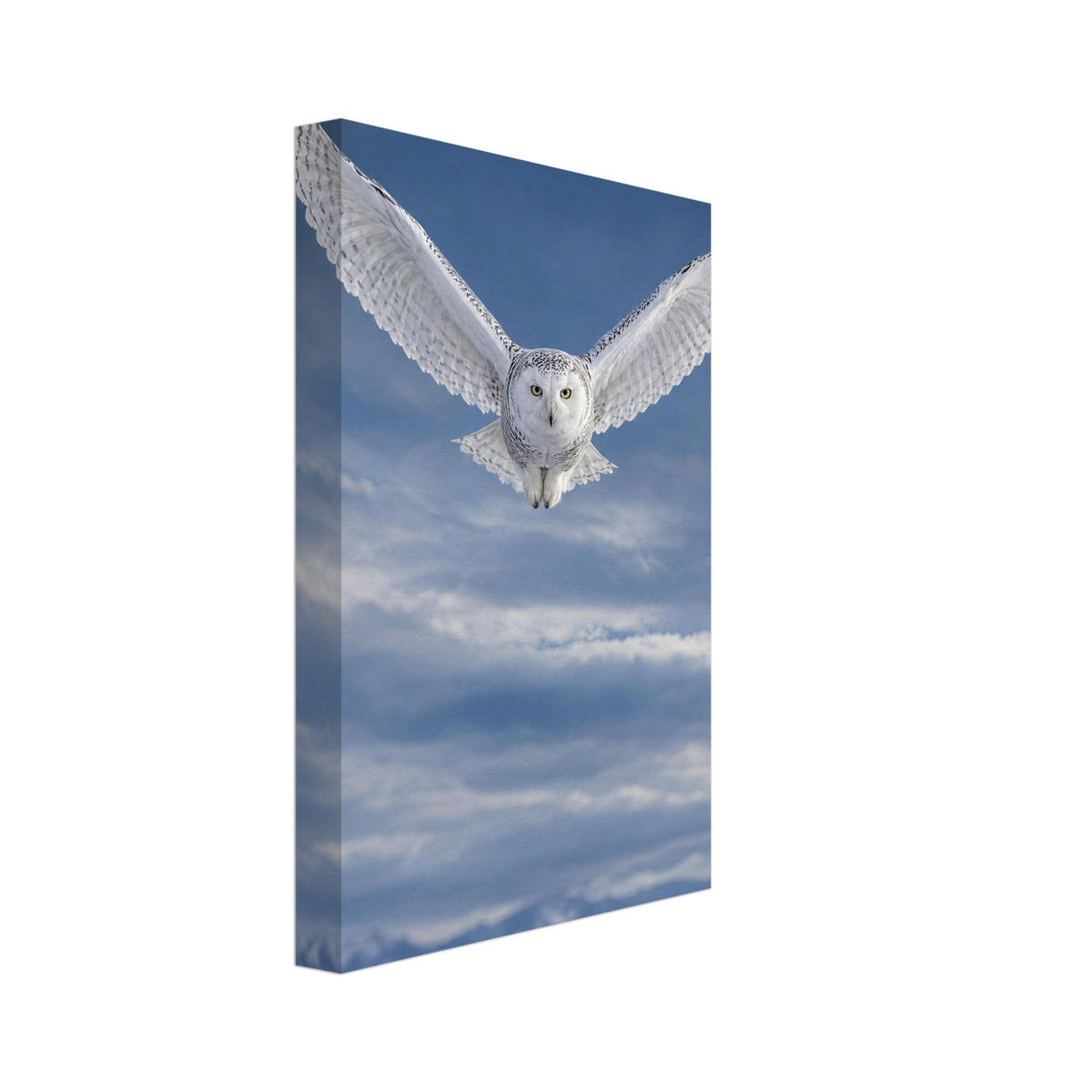 Snowy owl flying towards the viewer with wings spread against a blue, cloudy sky above snow-covered mountains.