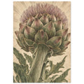 Flowering artichoke with green bracts, purple florets and jagged leaves on a textured beige background.
