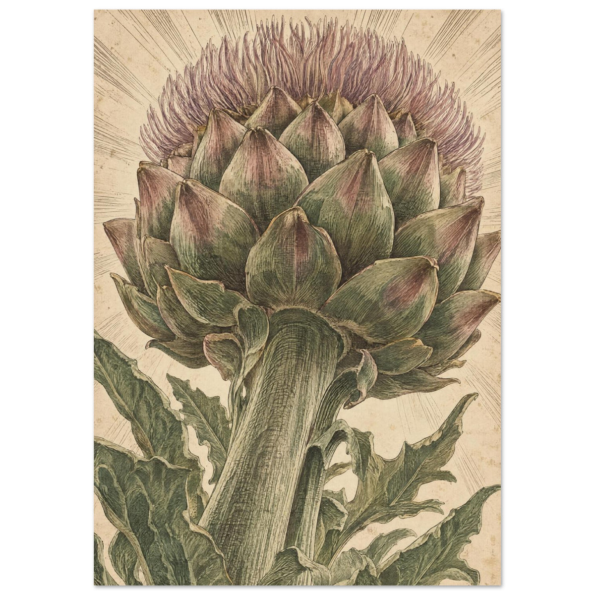 Flowering artichoke with green bracts, purple florets and jagged leaves on a textured beige background.