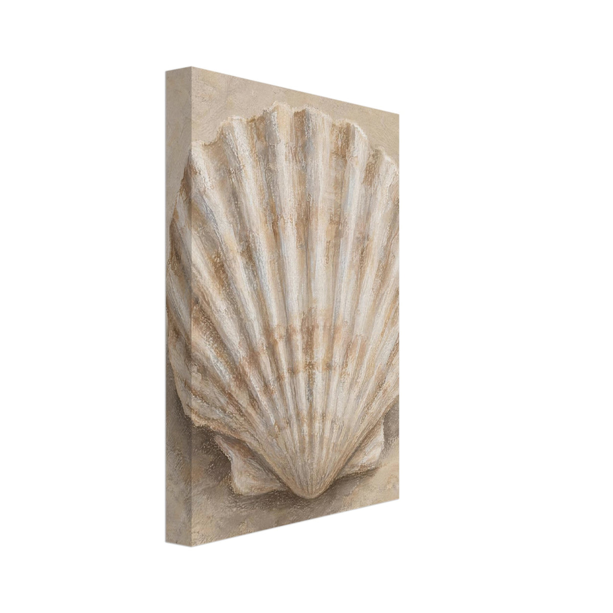 Fan-shaped scallop shell with cream ridges and brown shading on a softly textured beige background.
