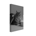 cat art print for the living room, soft painterly artwork on matte paper