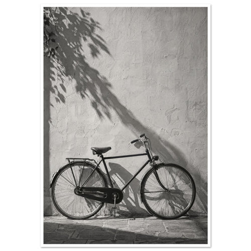 Bicycle leaning against a textured wall with long leafy shadows above and stone paving below, in black and white.