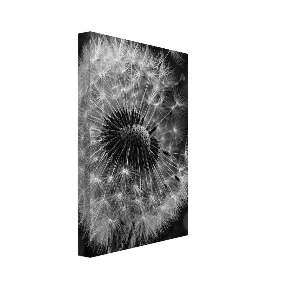 Original Abstract Composition Study Fine Art Print – Canvas