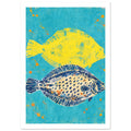 Two flat fish, one yellow and one cream with navy spots, on a textured turquoise background with orange splashes.