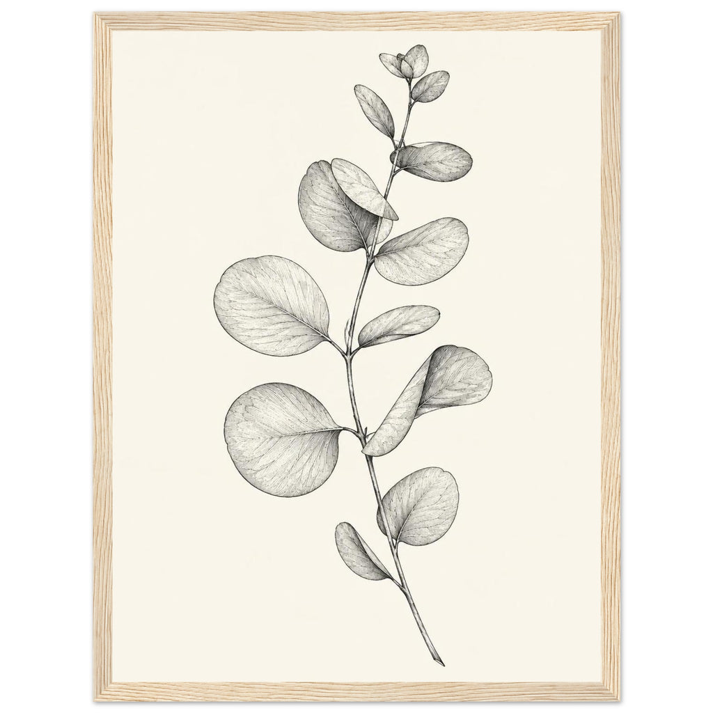 Eucalyptus stem with rounded leaves, fine veins and shaded folds drawn in black and grey on a cream background.