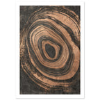 Irregular copper-toned concentric rings with distressed edges surrounding a dark centre on a textured charcoal background.