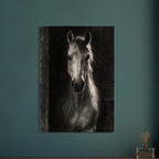 Horse in Half-Light, a frontal horse portrait emerging from a dark doorway with light tracing one ear and its mane.