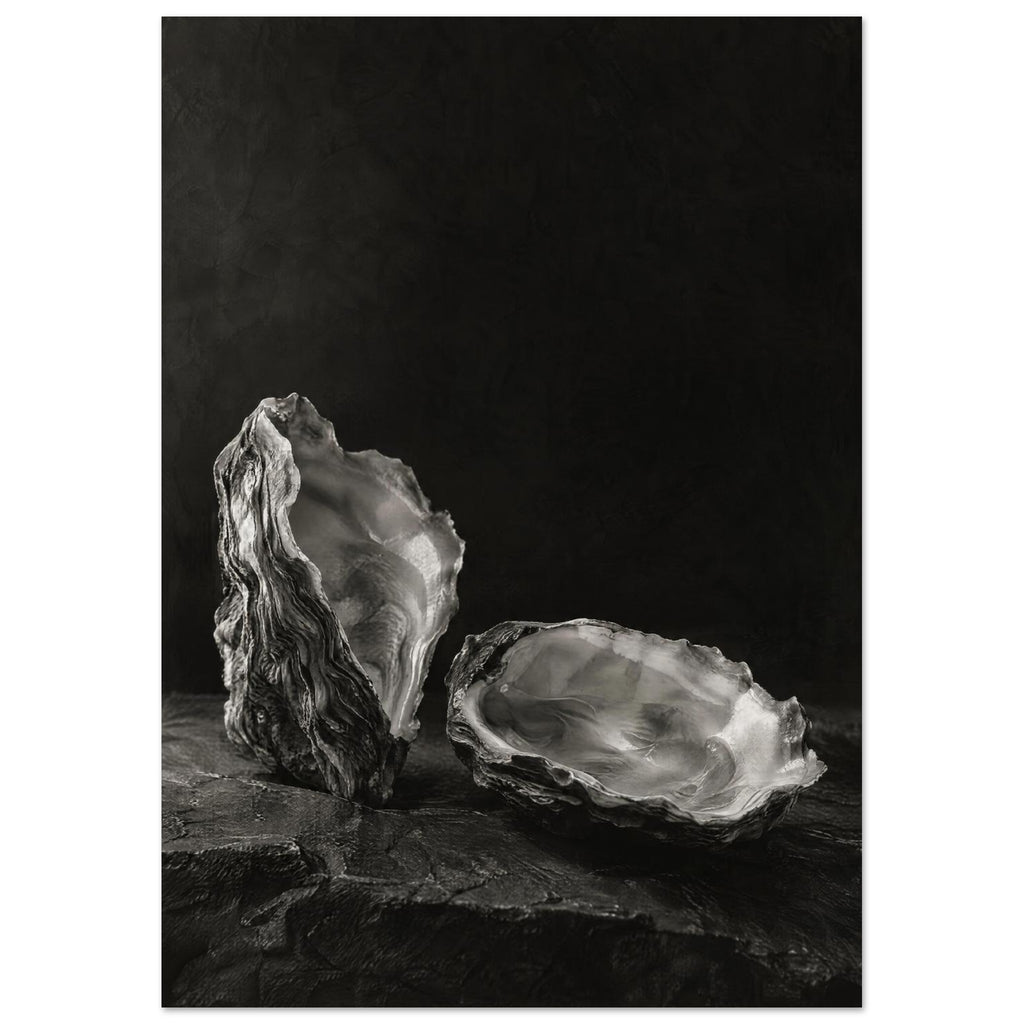 Oyster Light, two open oyster shells on dark slate with pale interiors and sharply lit ridges beneath a broad area of shadow.
