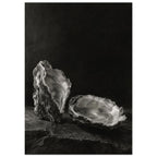 Oyster Light, two open oyster shells on dark slate with pale interiors and sharply lit ridges beneath a broad area of shadow.