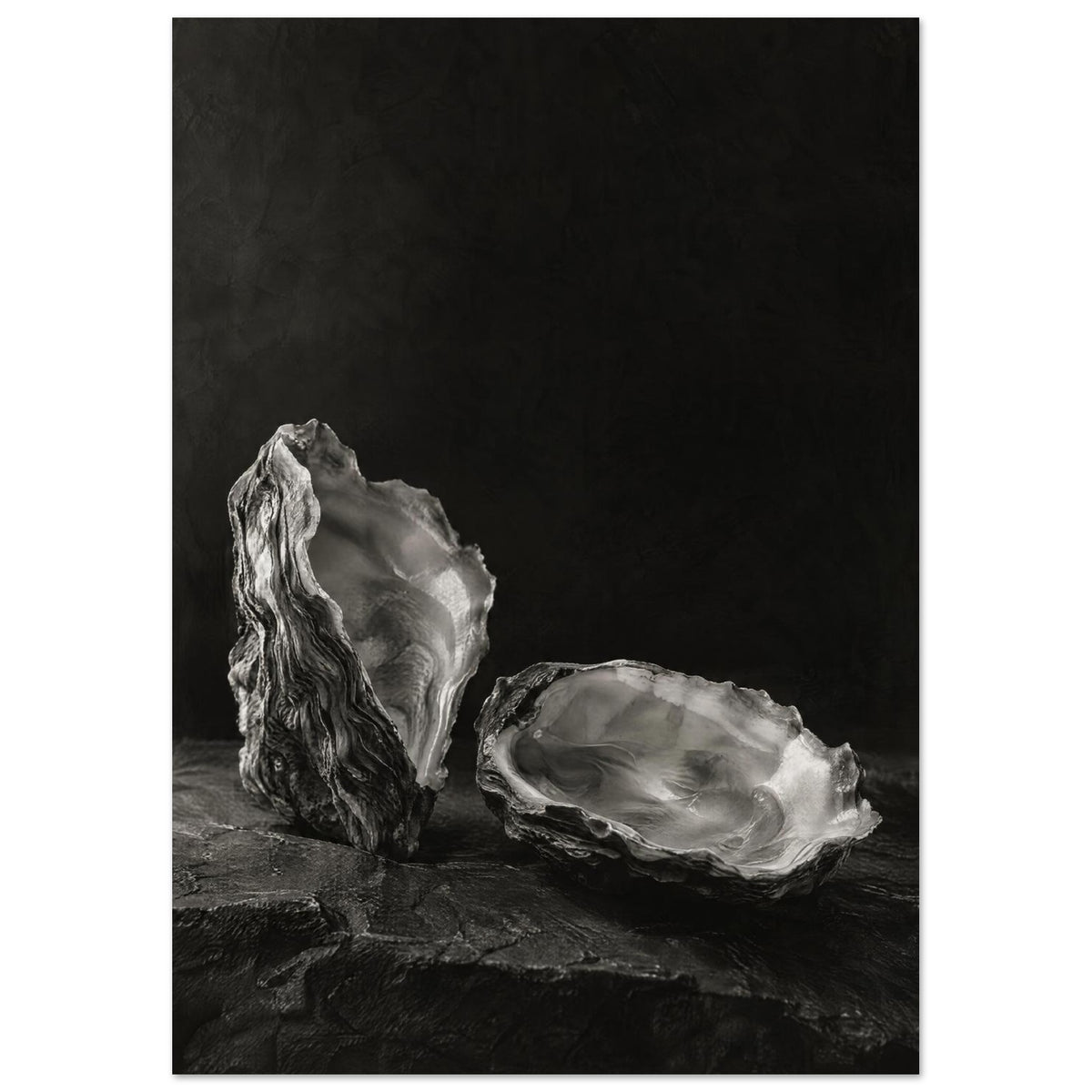 Oyster Light, two open oyster shells on dark slate with pale interiors and sharply lit ridges beneath a broad area of shadow.