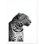 Leopard Black And White Art Print – White Border