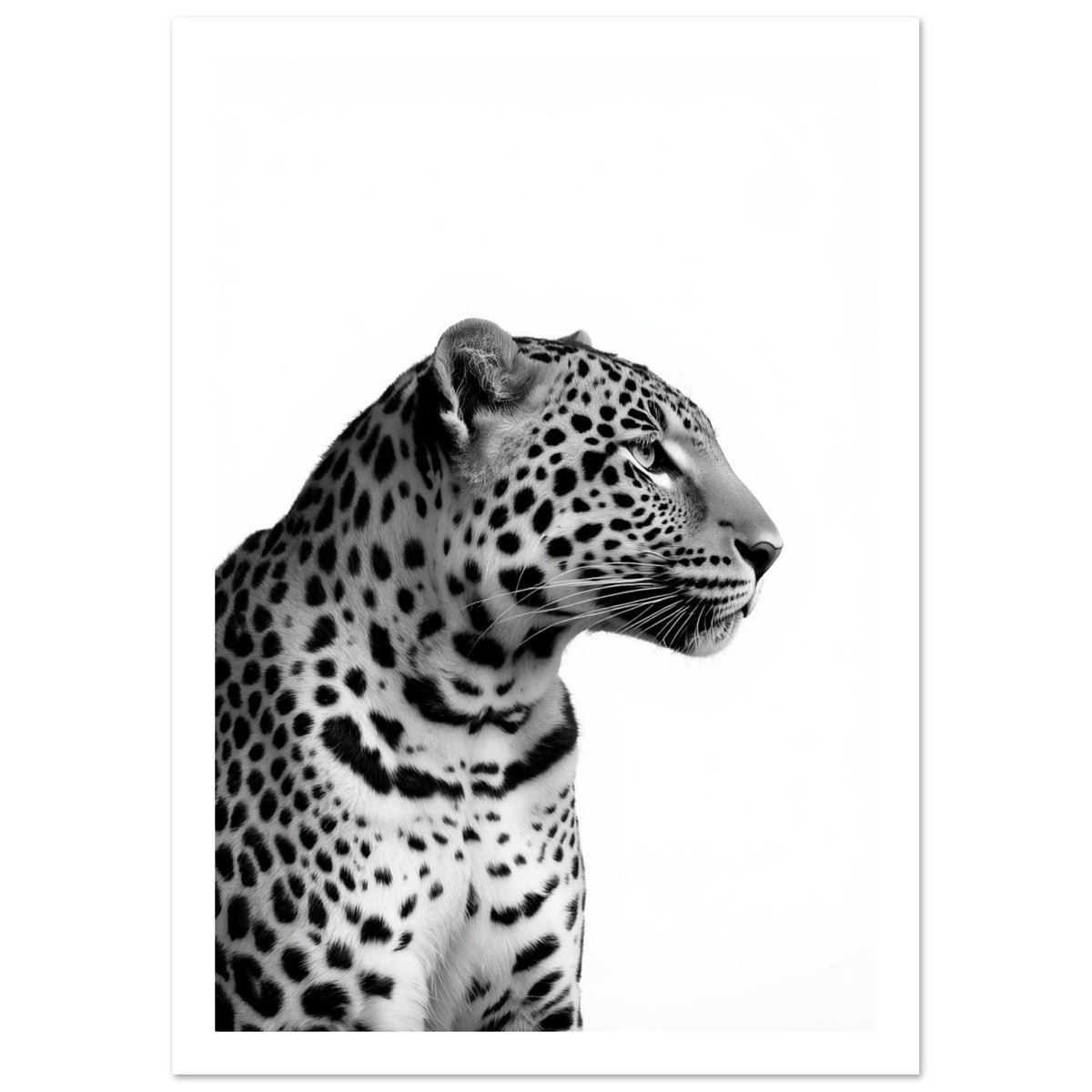 Leopard Black And White Art Print – White Border