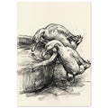 Two ducks leaning towards water in a rounded trough, drawn with dark sketch lines and shading on a cream background.